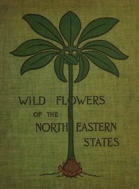 Wild flowers of the north-eastern states