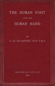 The human foot and the human hand