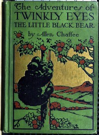 The adventures of Twinkly Eyes the little Black Bear
