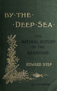 By the deep sea